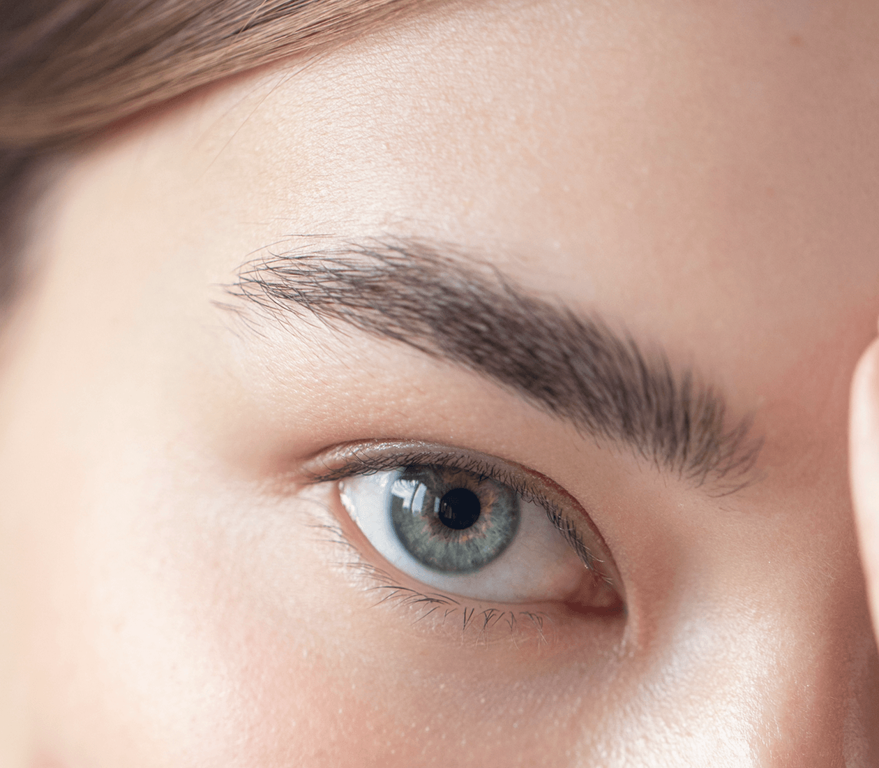 Eyebrow Transplant